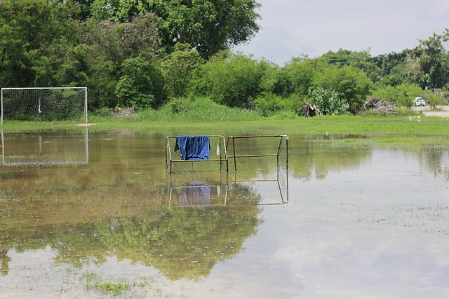 英超：阿森纳主场3-1大胜莱斯特城